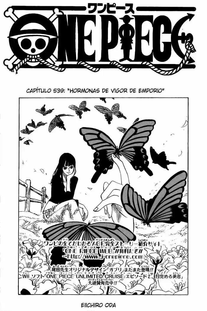 One Piece (1997) - Capítulo 539 - Página 1 - LectorTMOo
