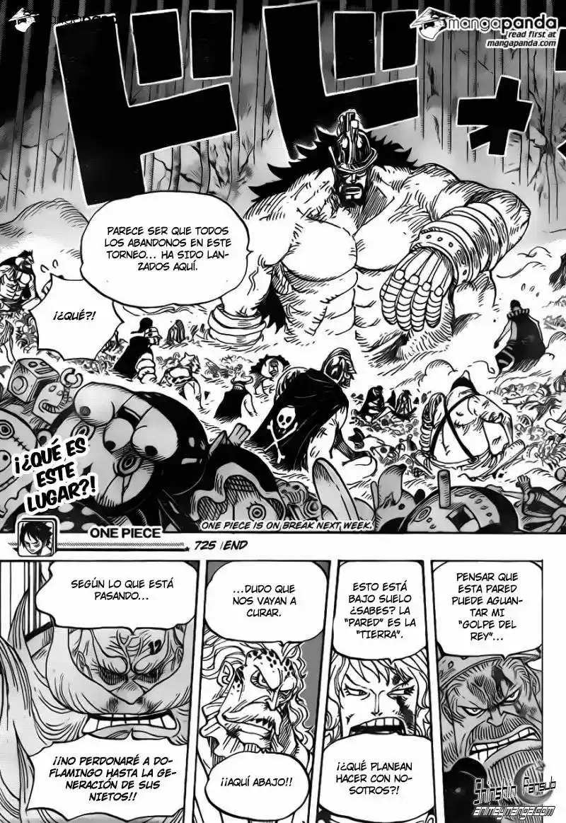 One Piece (1997) - Capítulo 725 - Página 19 - LectorTMOo