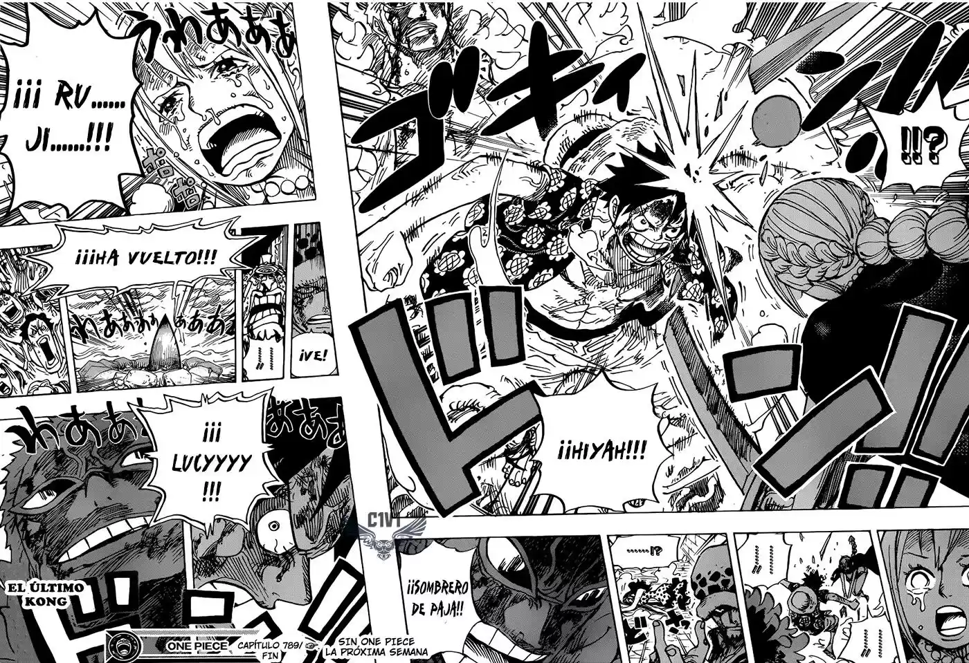 One Piece (1997) - Capítulo 789 - Página 19 - LectorTMOo