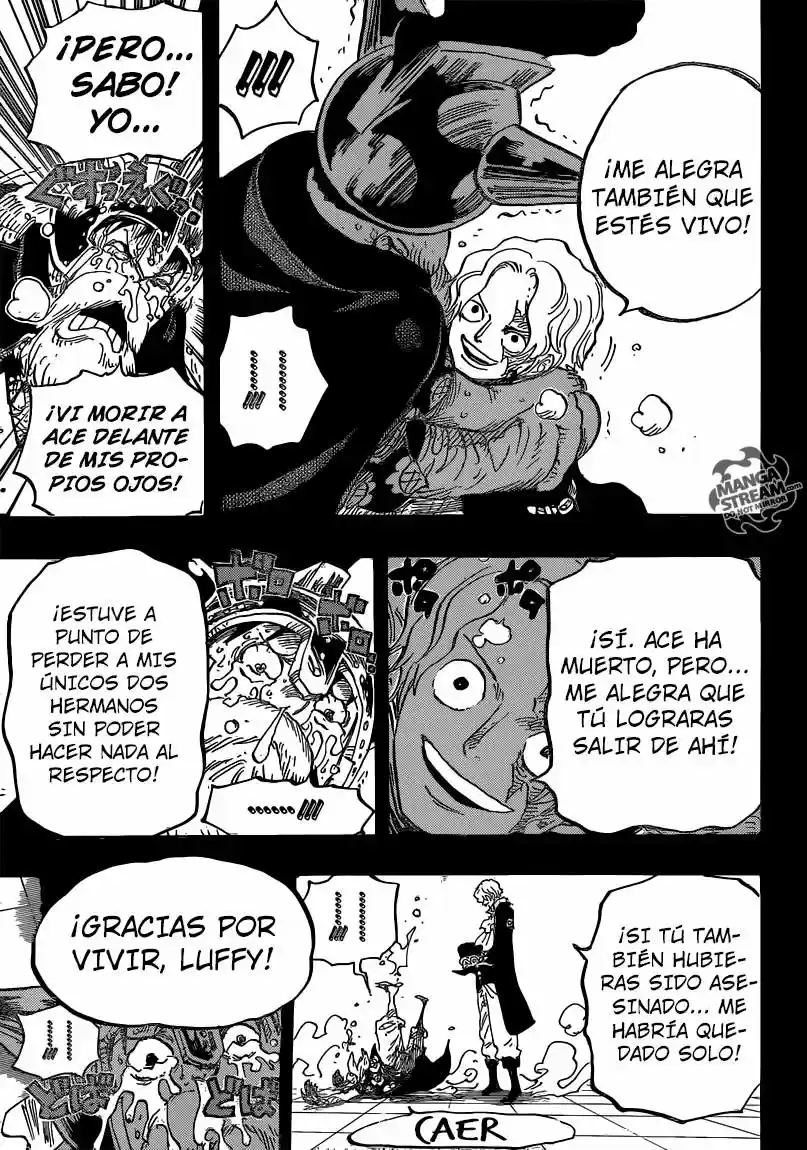 One Piece (1997) - Capítulo 794 - Página 14 - LectorTMOo