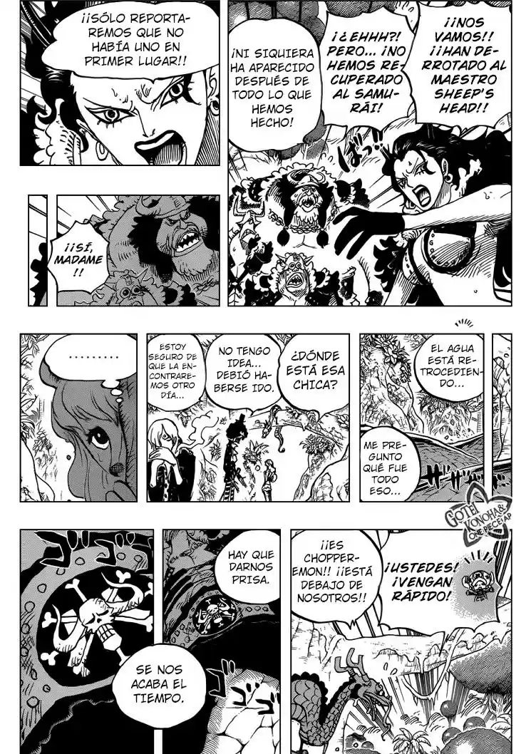 One Piece (1997) - Capítulo 795 - Página 10 - LectorTMOo