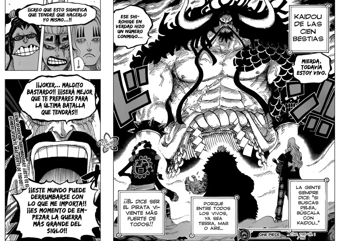 One Piece (1997) - Capítulo 795 - Página 17 - LectorTMOo