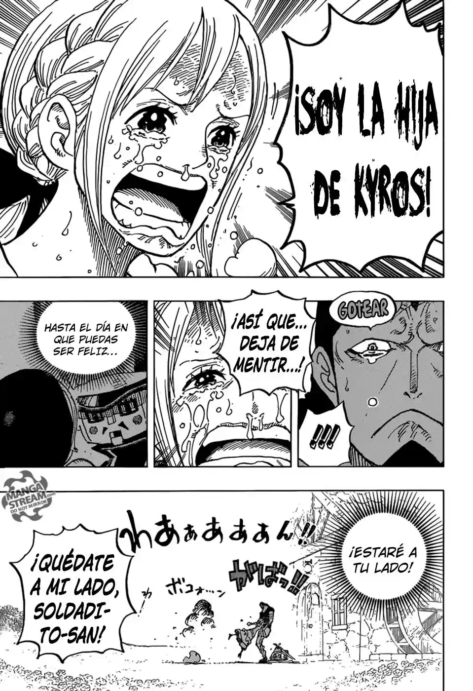 One Piece (1997) - Capítulo 797 - Página 16 - LectorTMOo