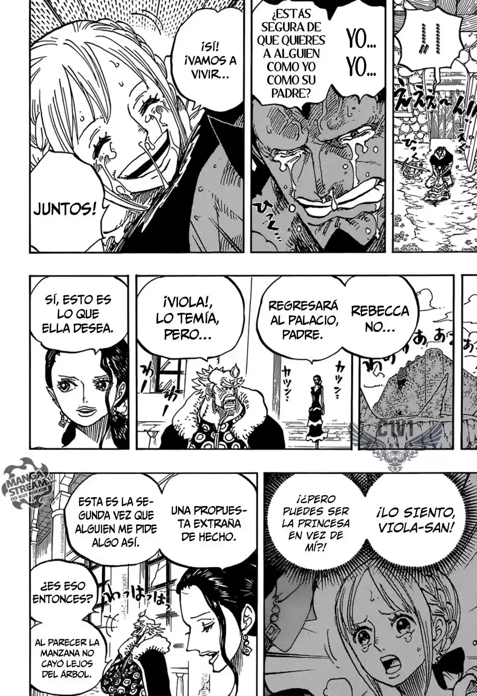One Piece (1997) - Capítulo 797 - Página 17 - LectorTMOo