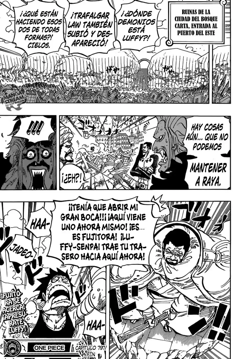 One Piece (1997) - Capítulo 797 - Página 18 - LectorTMOo