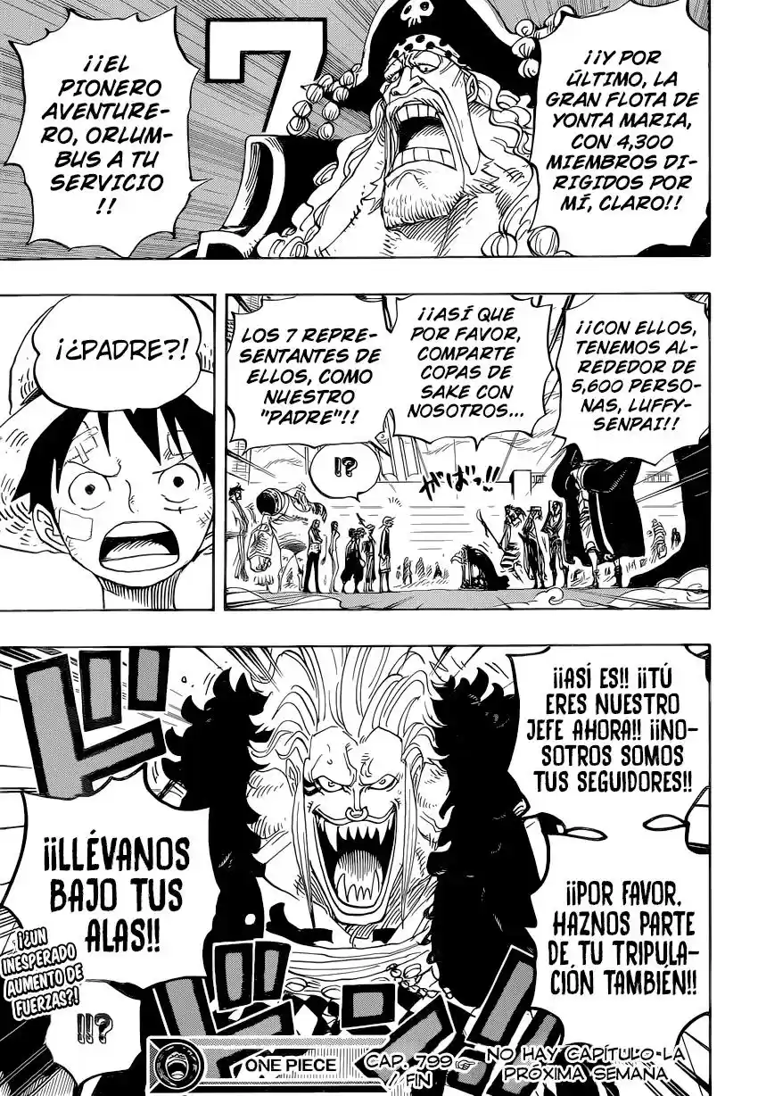 One Piece (1997) - Capítulo 799 - Página 15 - LectorTMOo