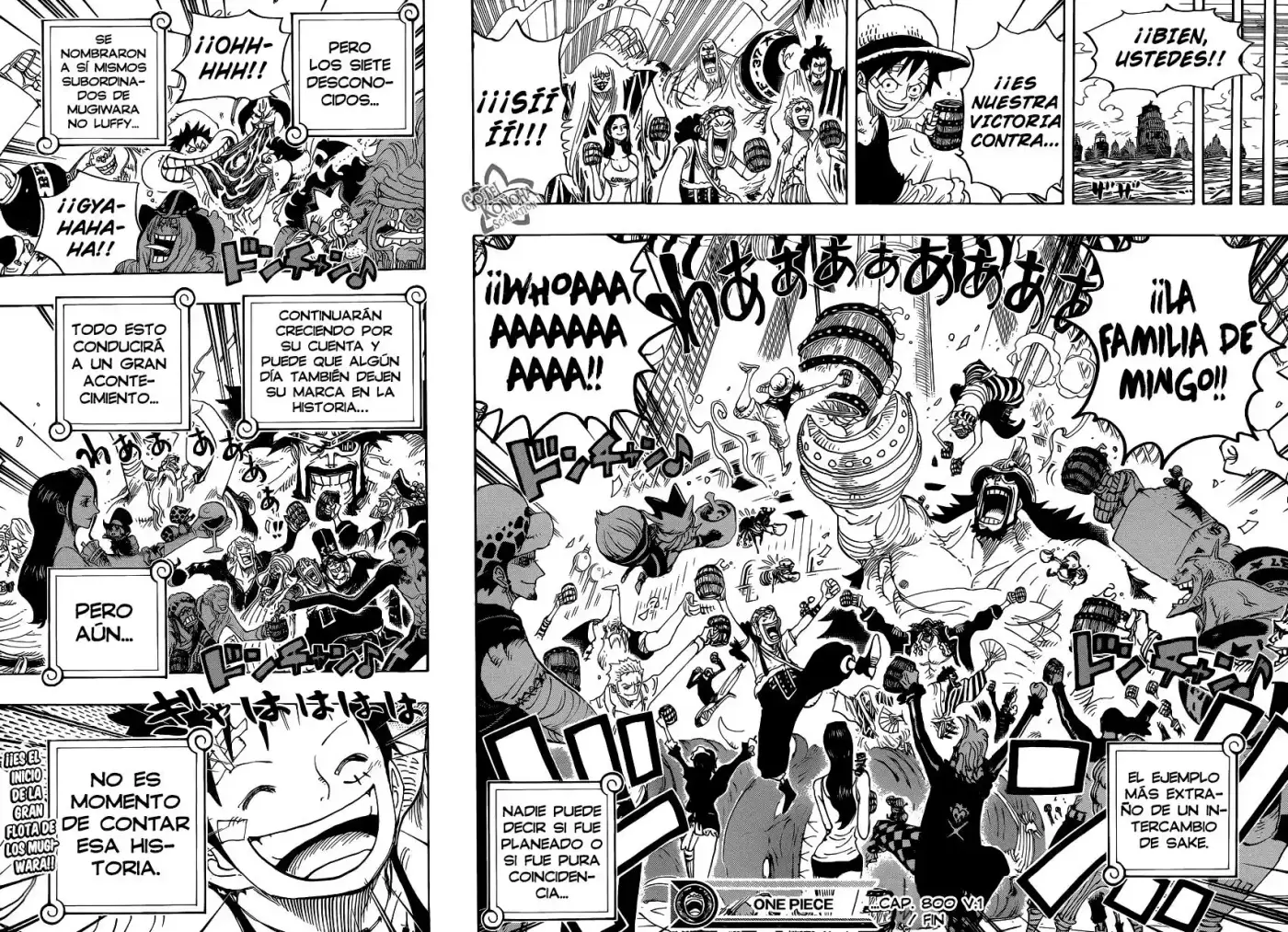 One Piece (1997) - Capítulo 800 - Página 14 - LectorTMOo
