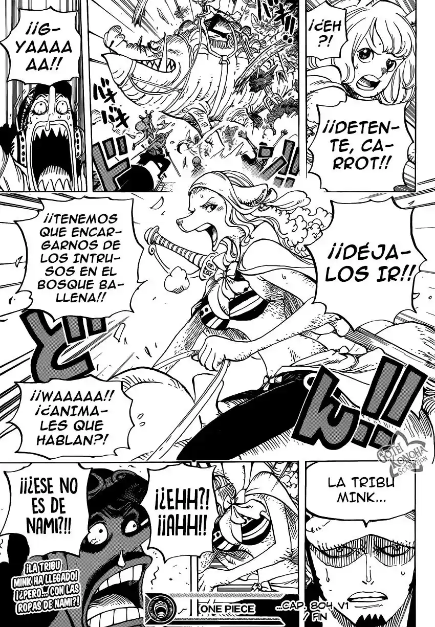 One Piece (1997) - Capítulo 804 - Página 17 - LectorTMOo