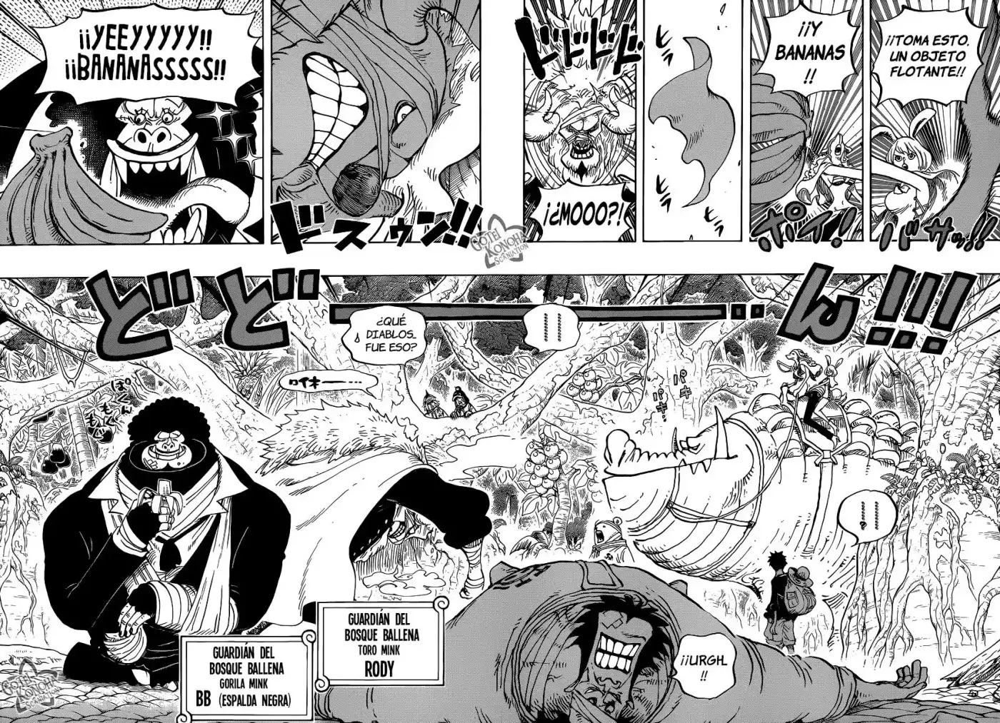 One Piece (1997) - Capítulo 805 - Página 11 - LectorTMOo