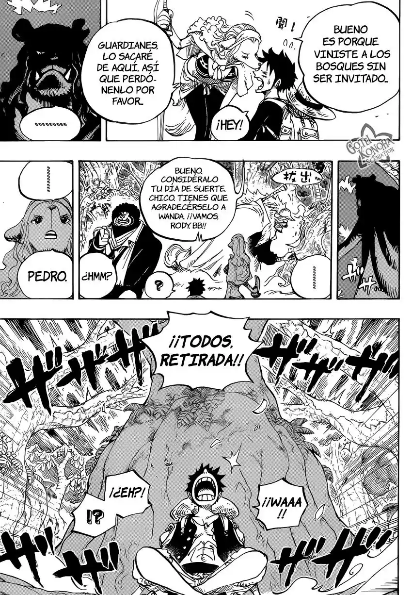 One Piece (1997) - Capítulo 805 - Página 13 - LectorTMOo