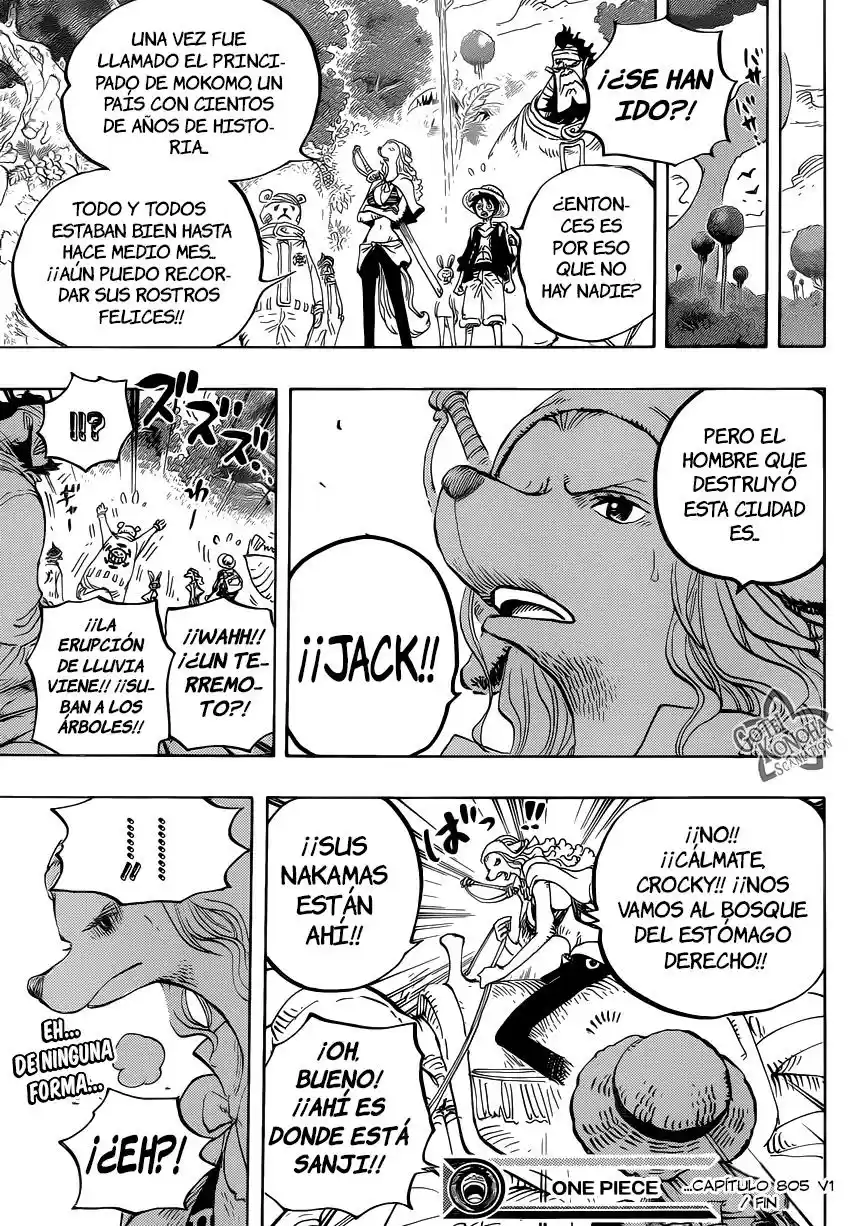 One Piece (1997) - Capítulo 805 - Página 17 - LectorTMOo