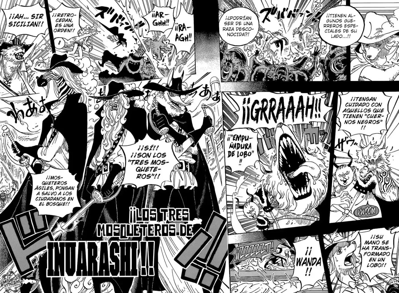One Piece (1997) - Capítulo 809 - Página 11 - LectorTMOo