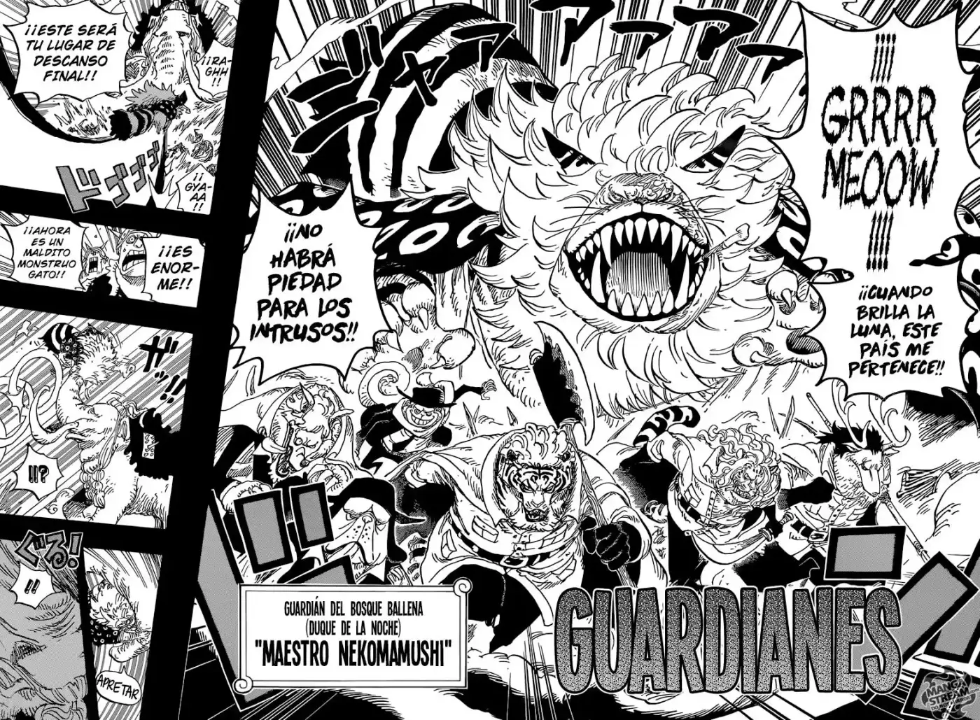 One Piece (1997) - Capítulo 809 - Página 18 - LectorTMOo
