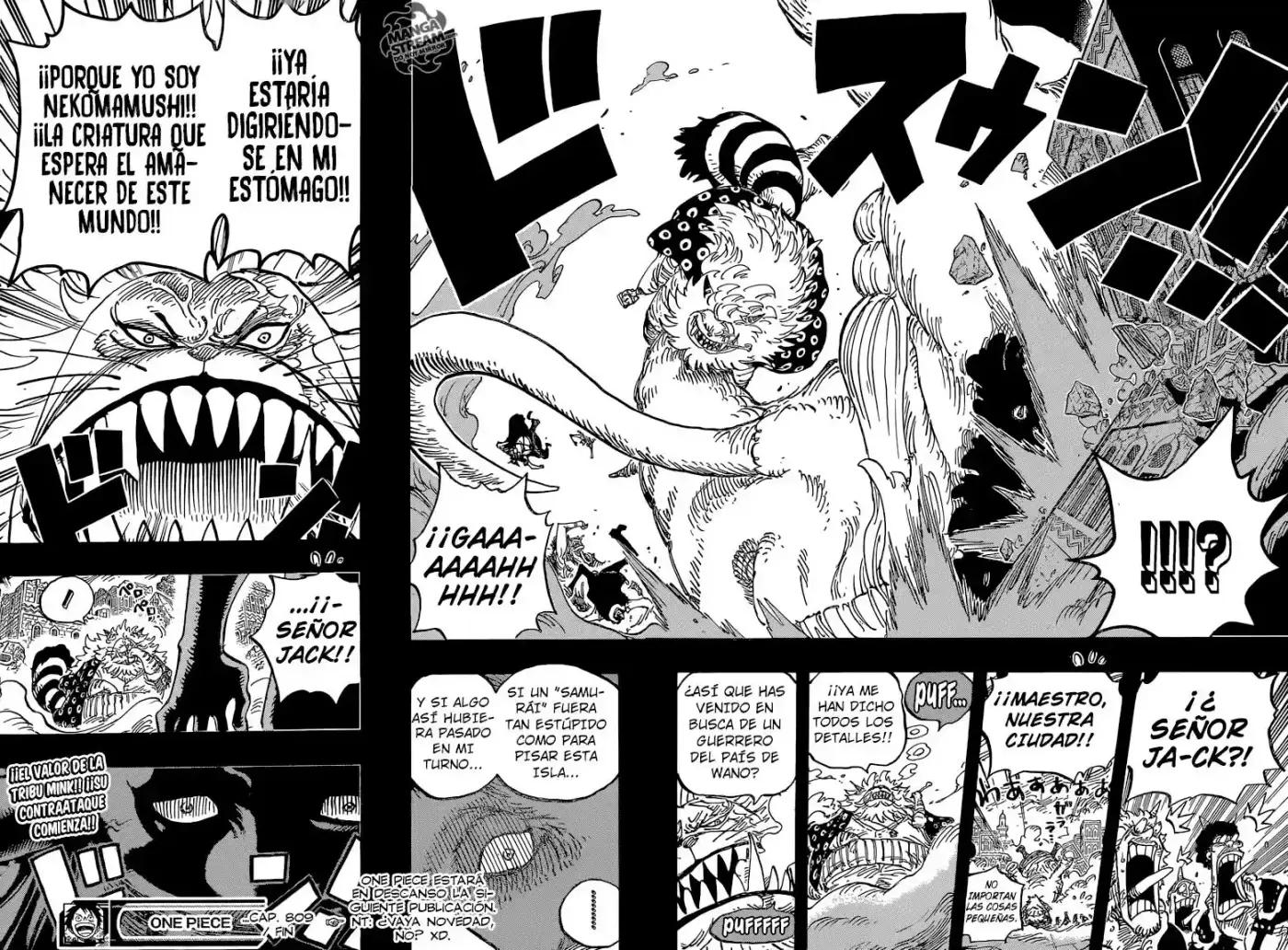 One Piece (1997) - Capítulo 809 - Página 19 - LectorTMOo