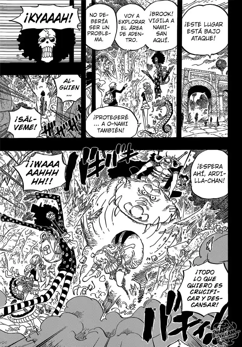 One Piece (1997) - Capítulo 810 - Página 14 - LectorTMOo