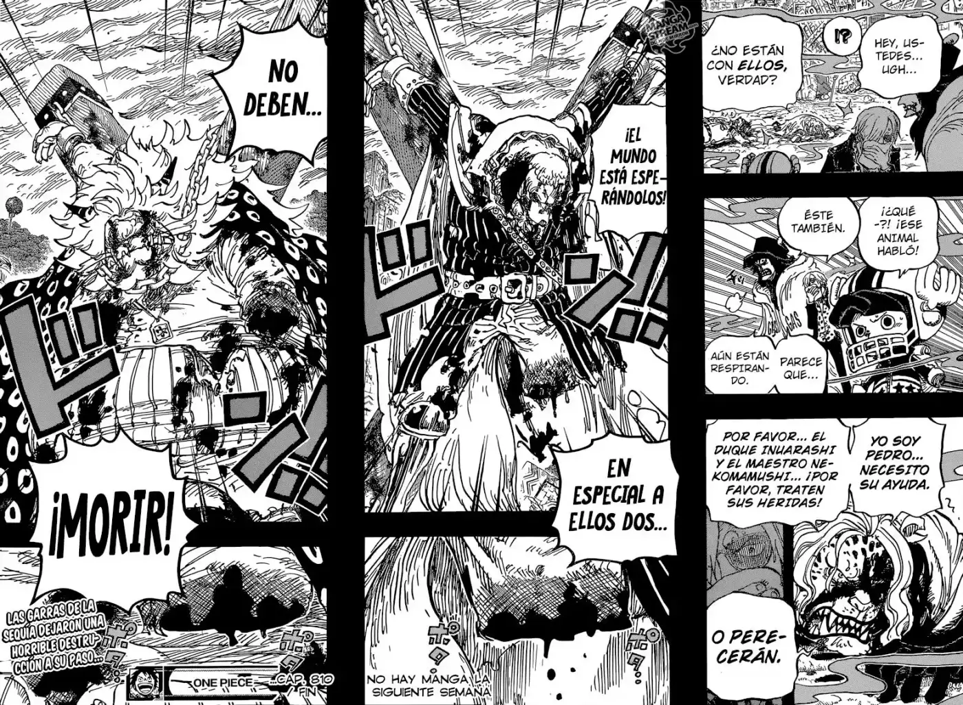 One Piece (1997) - Capítulo 810 - Página 17 - LectorTMOo