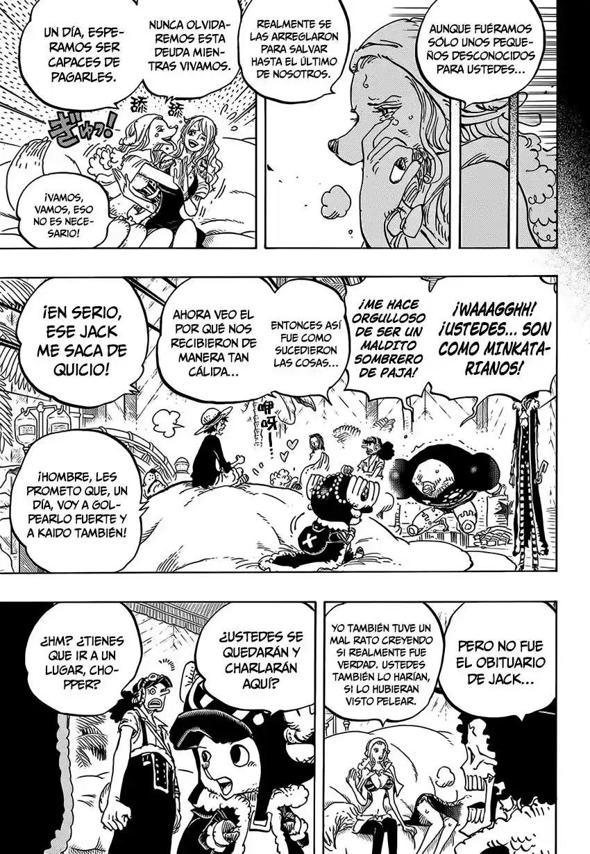 One Piece (1997) - Capítulo 811 - Página 15 - LectorTMOo