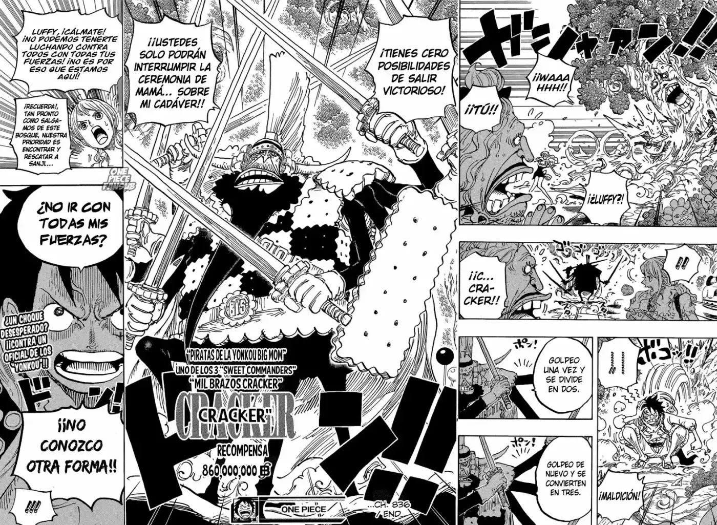 One Piece (1997) - Capítulo 836 - Página 15 - LectorTMOo