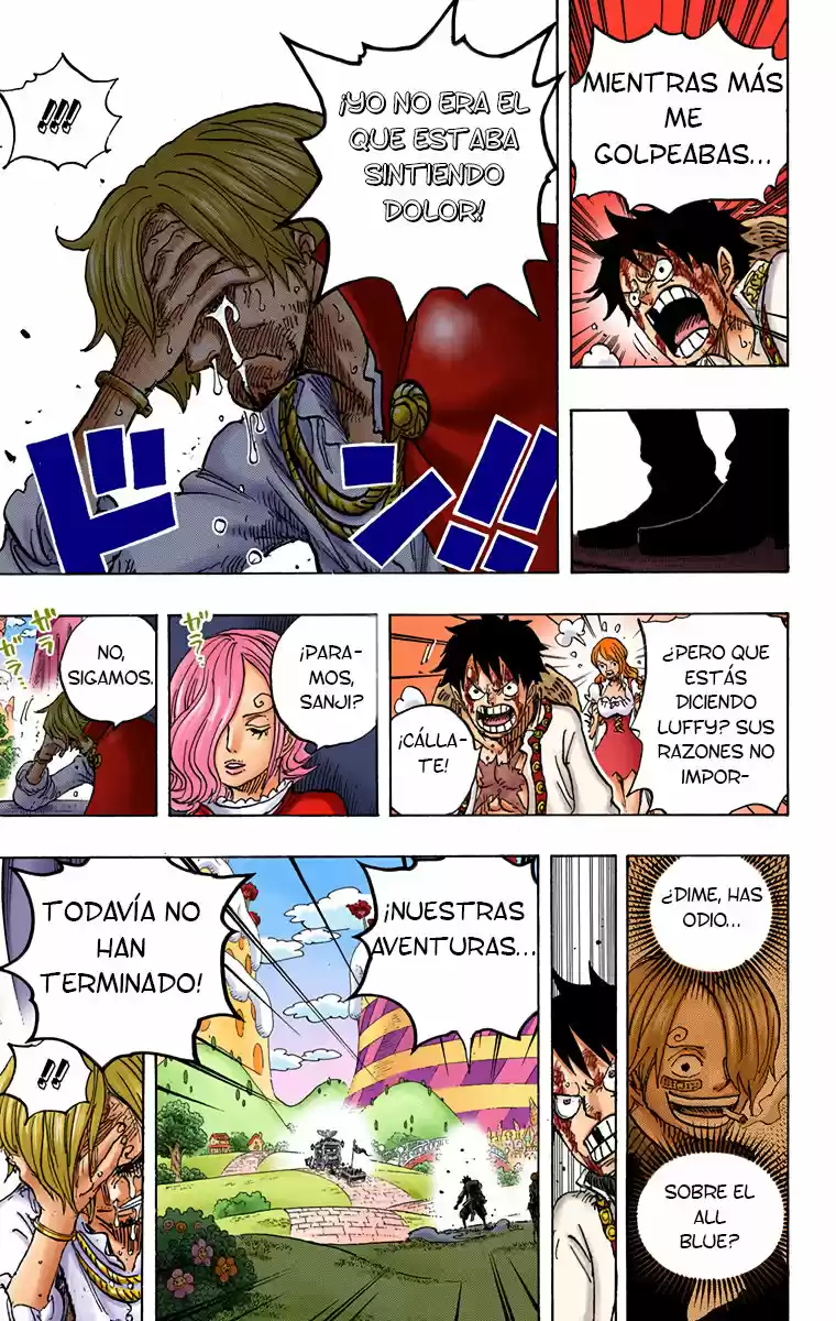One Piece (1997) - Capítulo 844.5 - Página 15 - LectorTMOo