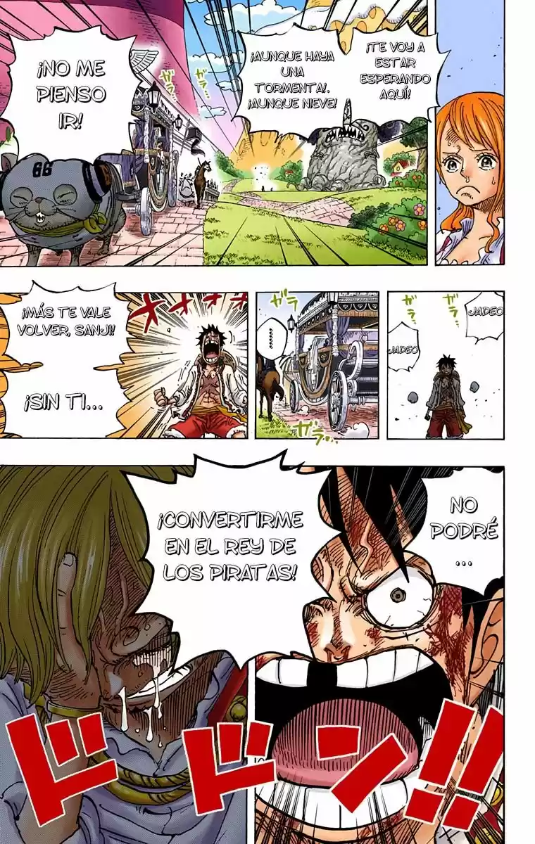 One Piece (1997) - Capítulo 844.5 - Página 17 - LectorTMOo
