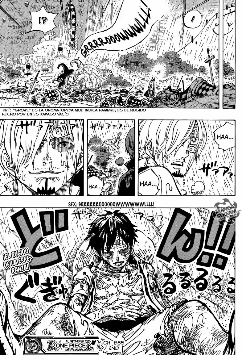 One Piece (1997) - Capítulo 855 - Página 17 - LectorTMOo