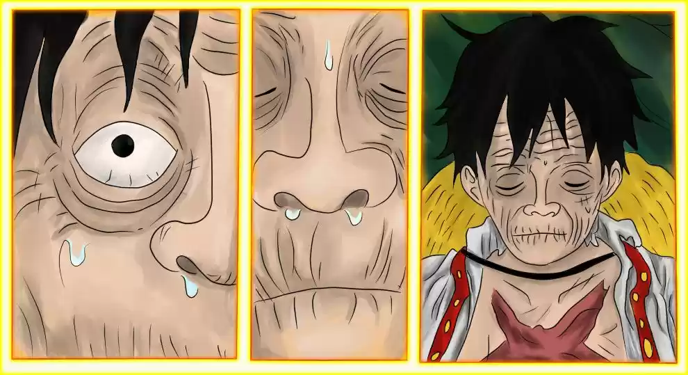 One Piece (1997) - Capítulo 857 - Página 24 - LectorTMOo
