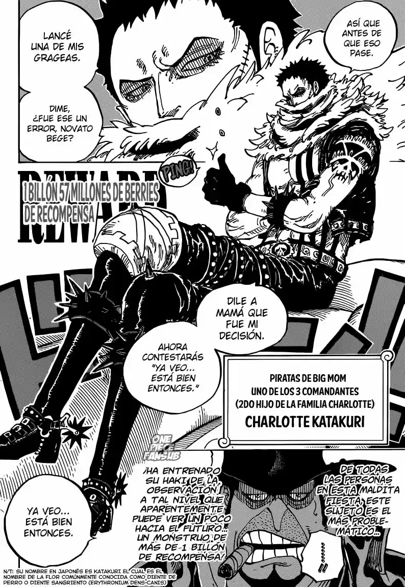 One Piece (1997) - Capítulo 860 - Página 11 - LectorTMOo