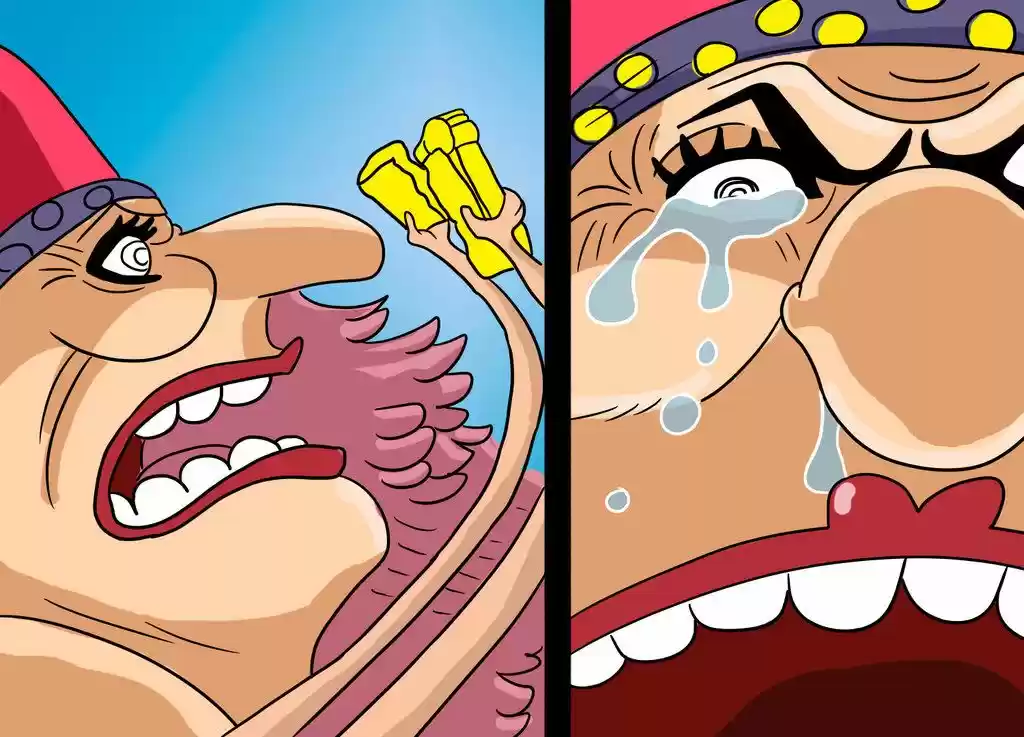 One Piece (1997) - Capítulo 866 - Página 16 - LectorTMOo