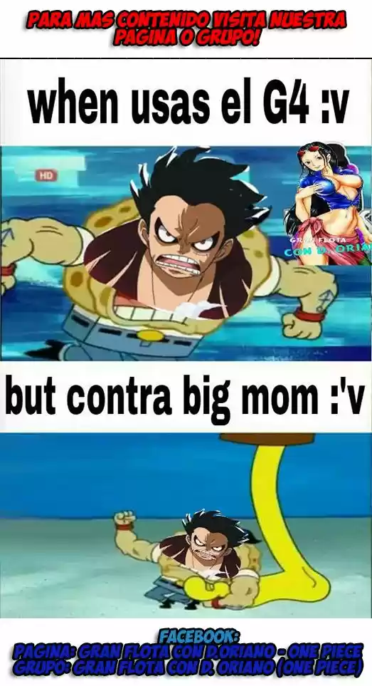 One Piece (1997) - Capítulo 871 - Página 21 - LectorTMOo