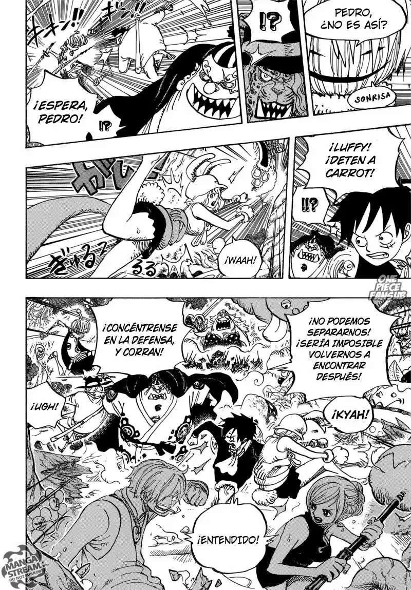 One Piece (1997) - Capítulo 875 - Página 11 - LectorTMOo