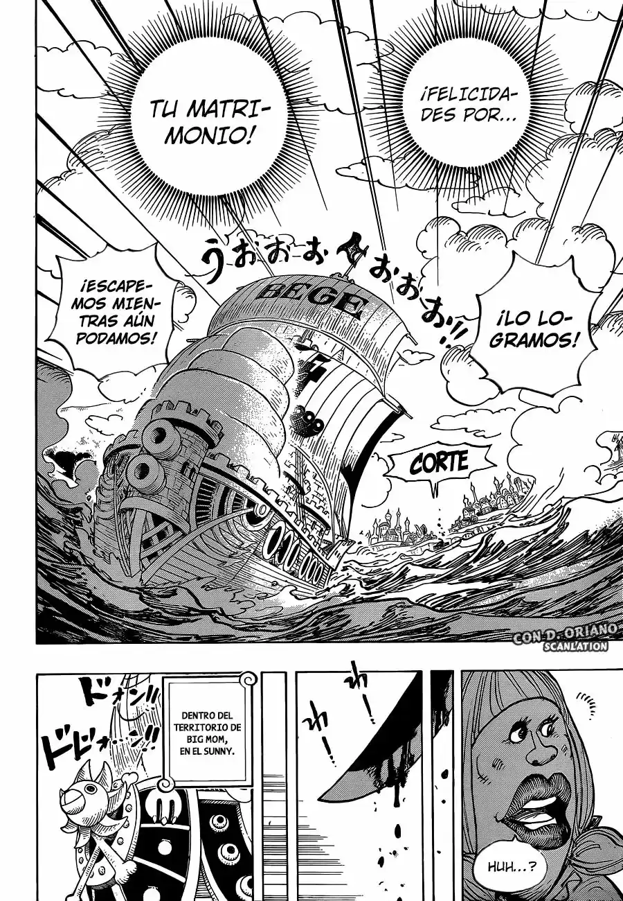One Piece (1997) - Capítulo 887 - Página 15 - LectorTMOo