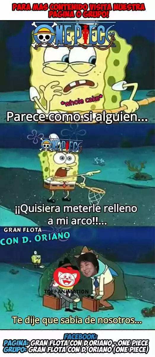 One Piece (1997) - Capítulo 887 - Página 19 - LectorTMOo