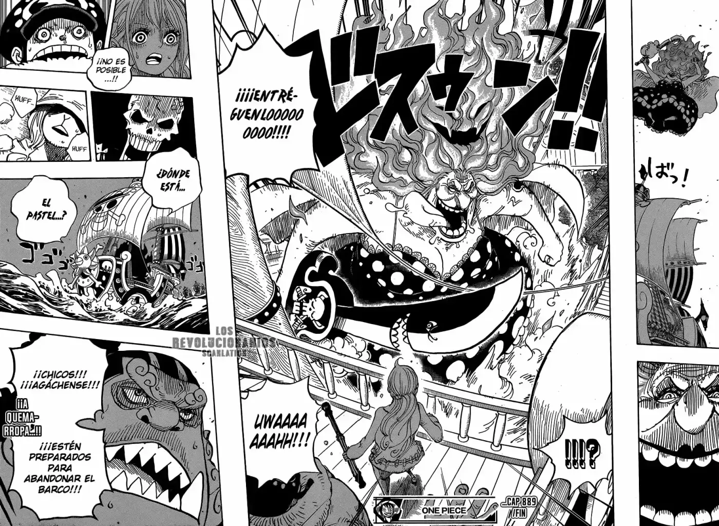 One Piece (1997) - Capítulo 889 - Página 17 - LectorTMOo