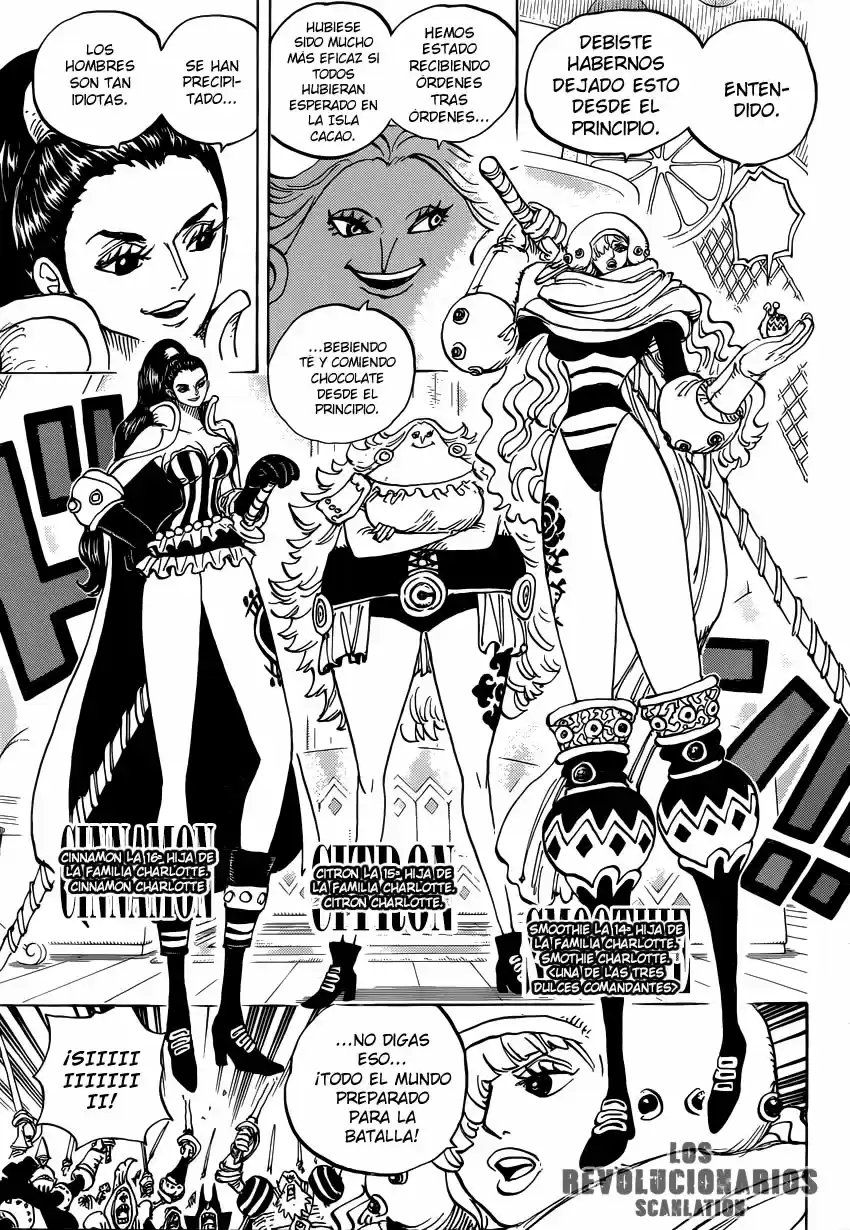 One Piece (1997) - Capítulo 892 - Página 12 - LectorTMOo