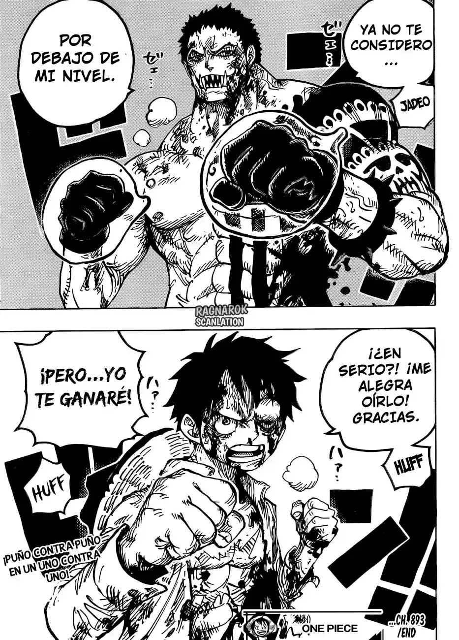 One Piece (1997) - Capítulo 893 - Página 18 - LectorTMOo