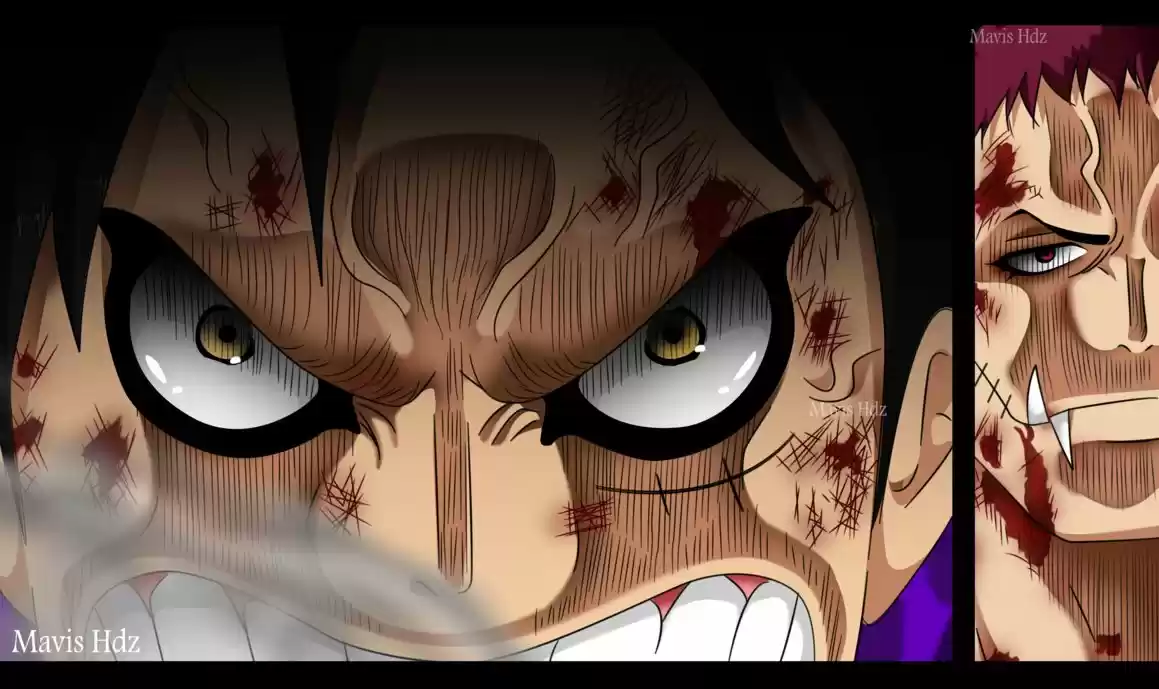 One Piece (1997) - Capítulo 895 - Página 17 - LectorTMOo