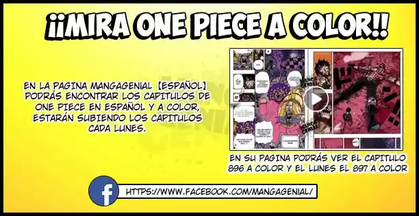 One Piece (1997) - Capítulo 897 - Página 16 - LectorTMOo