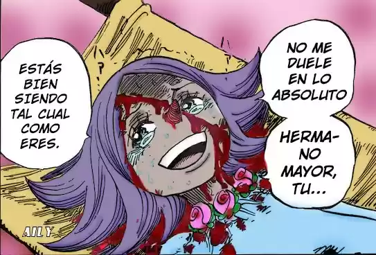One Piece (1997) - Capítulo 902 - Página 25 - LectorTMOo