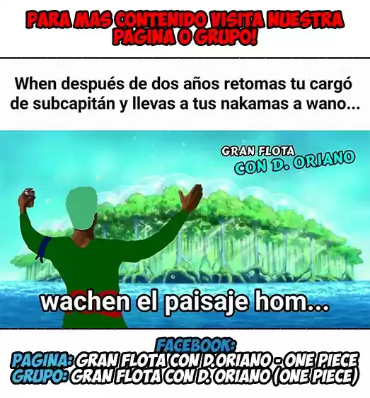 One Piece (1997) - Capítulo 909 - Página 17 - LectorTMOo