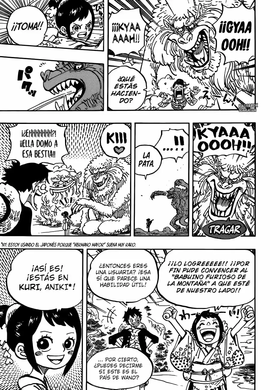 One Piece (1997) - Capítulo 911 - Página 11 - LectorTMOo