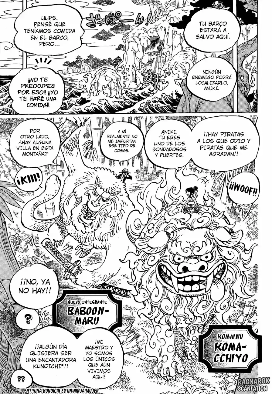 One Piece (1997) - Capítulo 911 - Página 13 - LectorTMOo