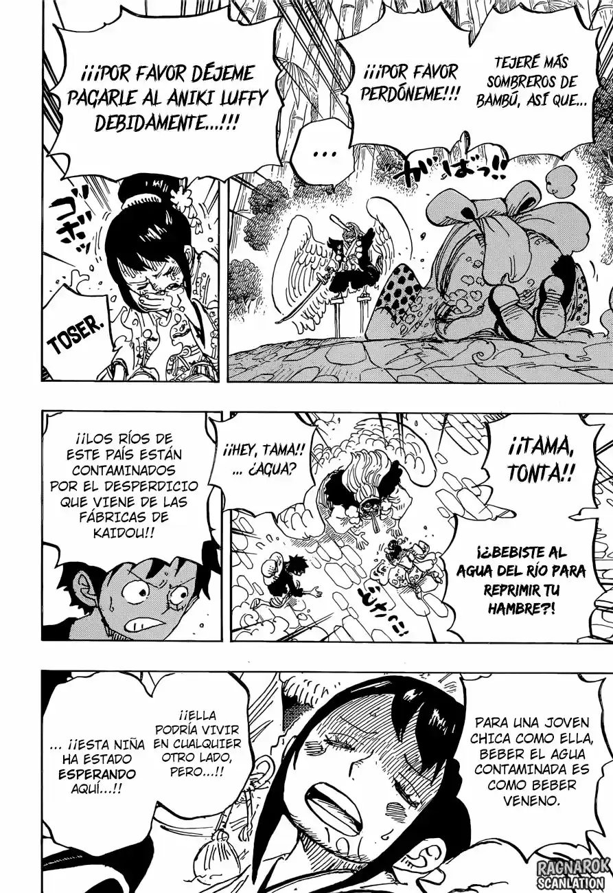 One Piece (1997) - Capítulo 911 - Página 17 - LectorTMOo