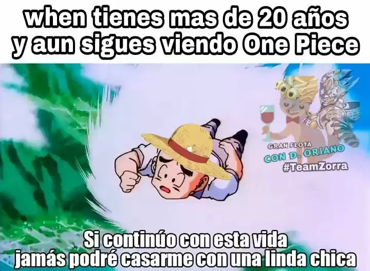One Piece (1997) - Capítulo 911 - Página 19 - LectorTMOo