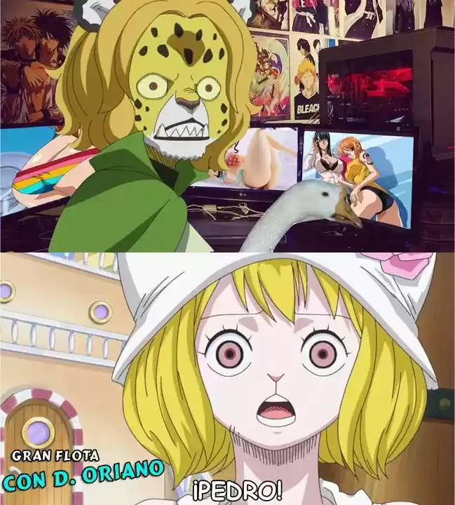 One Piece (1997) - Capítulo 914 - Página 24 - LectorTMOo