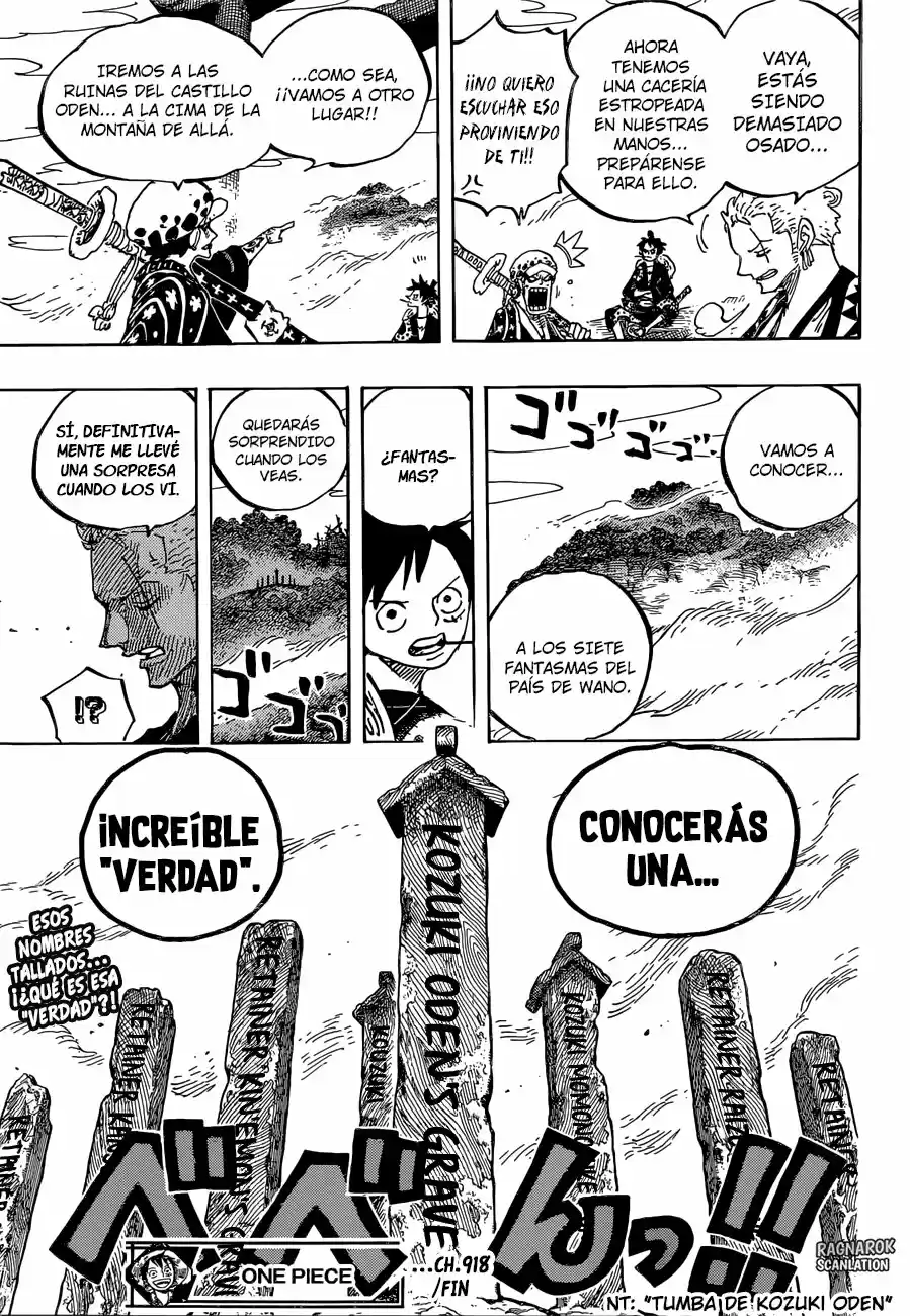 One Piece (1997) - Capítulo 918 - Página 17 - LectorTMOo