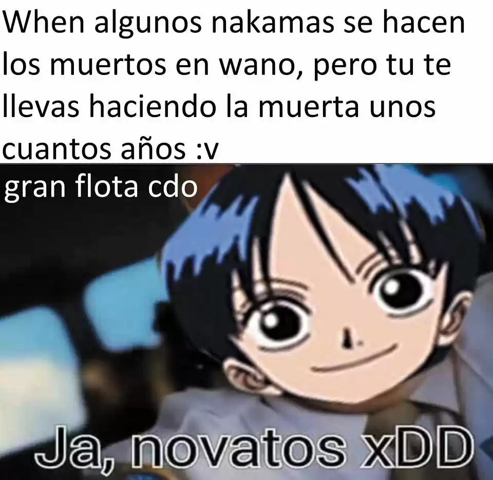One Piece (1997) - Capítulo 919 - Página 21 - LectorTMOo