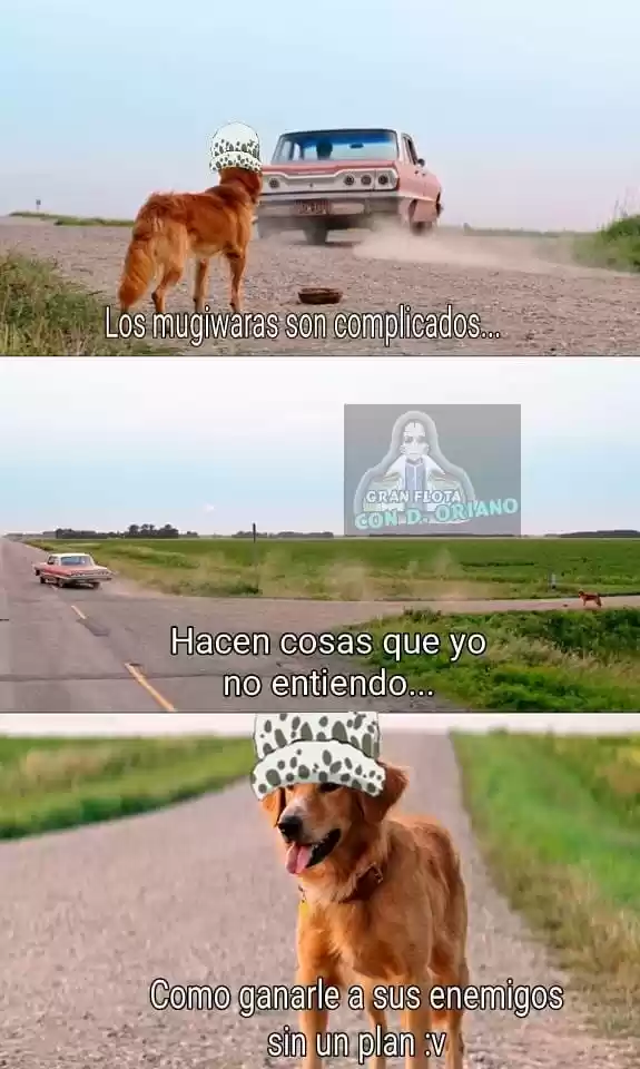 One Piece (1997) - Capítulo 920 - Página 22 - LectorTMOo