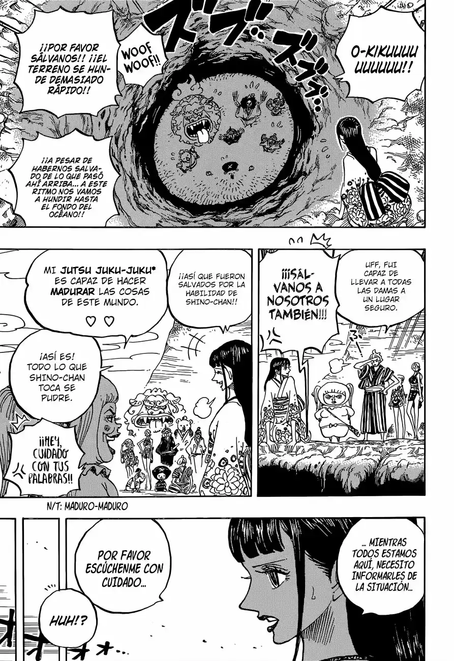 One Piece (1997) - Capítulo 924 - Página 10 - LectorTMOo