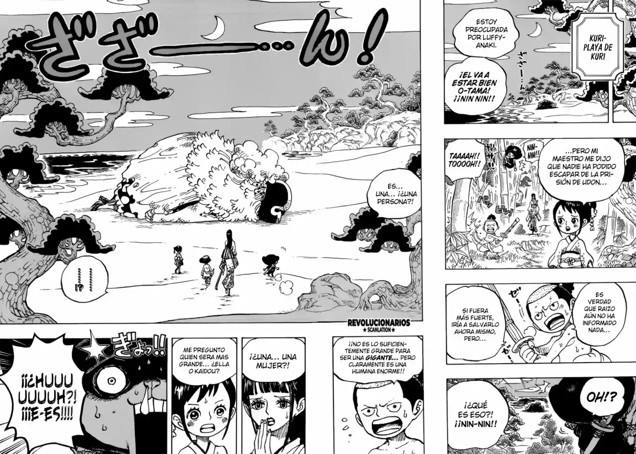 One Piece (1997) - Capítulo 931 - Página 14 - LectorTMOo