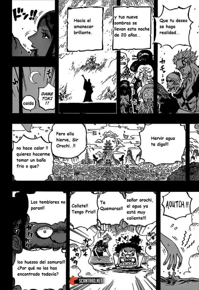 One Piece (1997) - Capítulo 973 - Página 12 - LectorTMOo